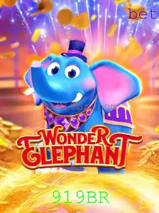 WonderElephant: Descobrindo o Mundo do Entretenimento Criativo com 919BR